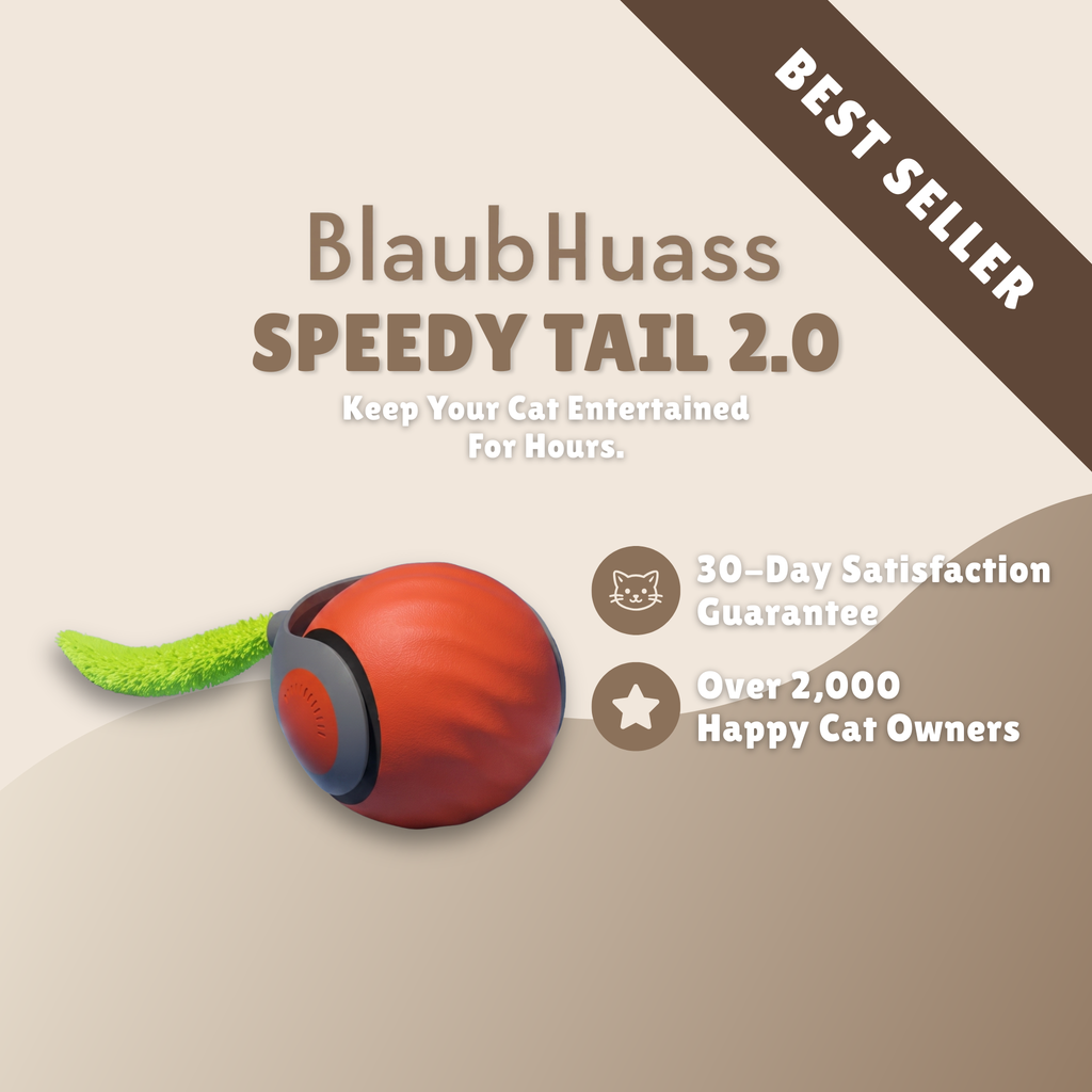 Speedy Tail 2.0