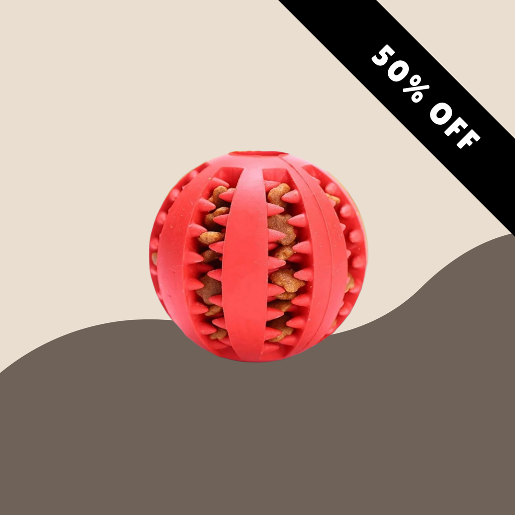 Teeth Treat Ball