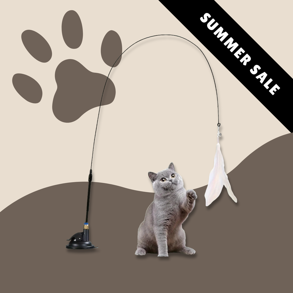 Cat Wand Wacker