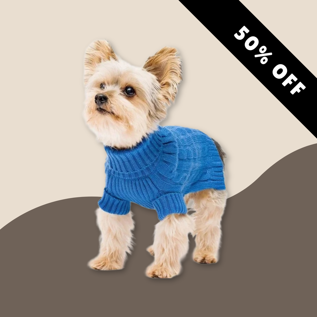 Doggy Sweater