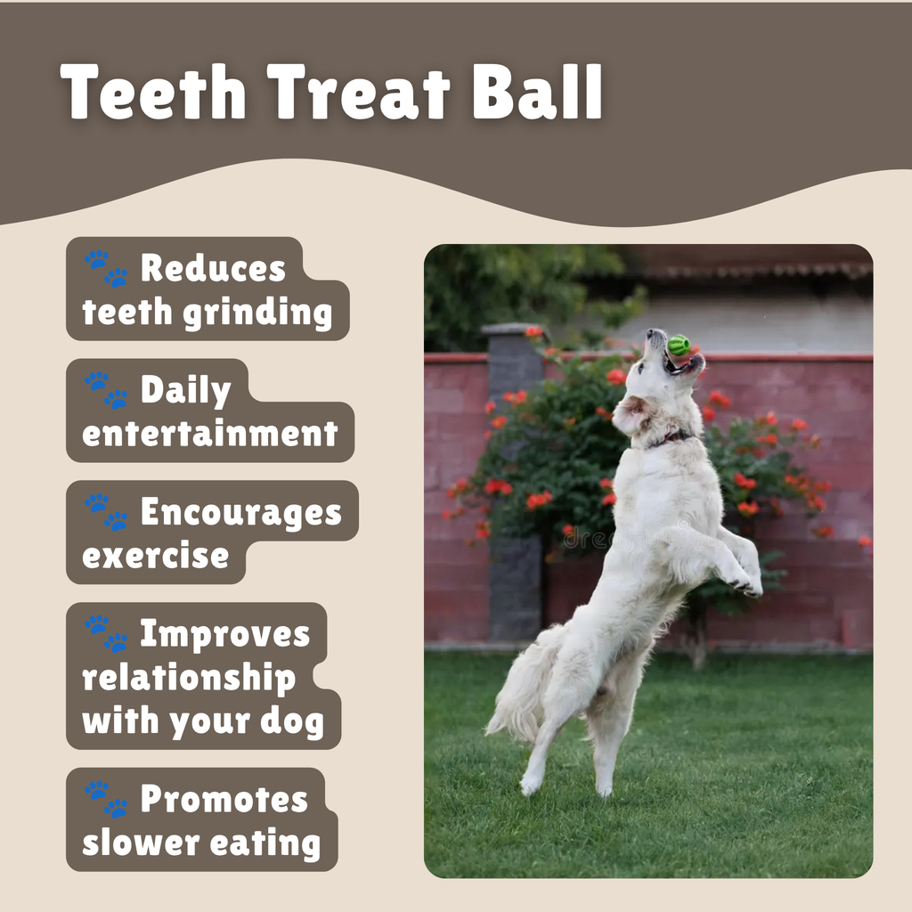 Teeth Treat Ball