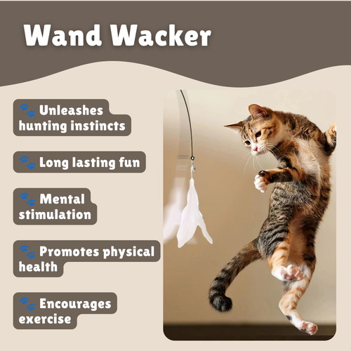 Cat Wand Wacker