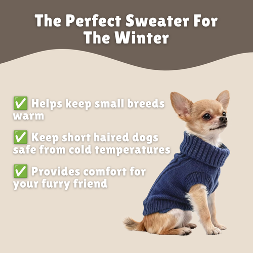 Doggy Sweater
