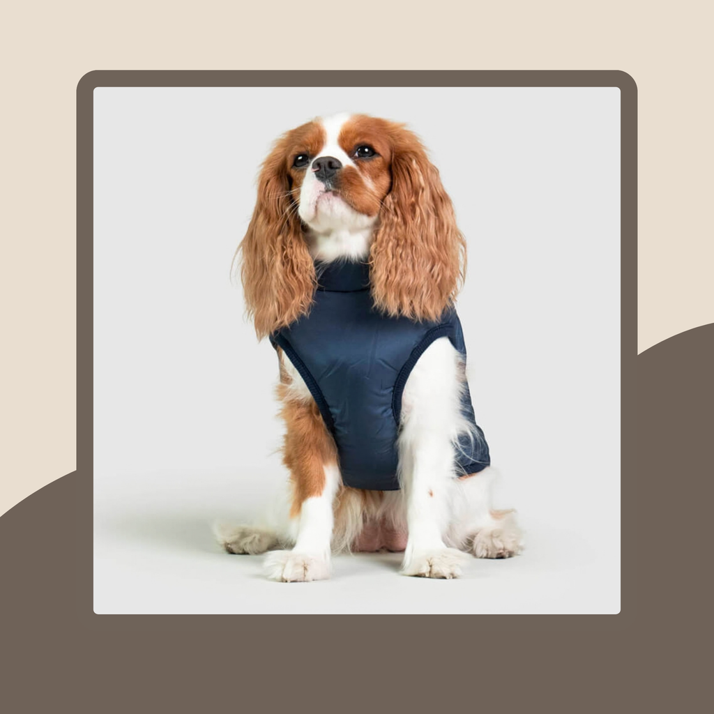 3-In-1 Weather Protection Dog Coat
