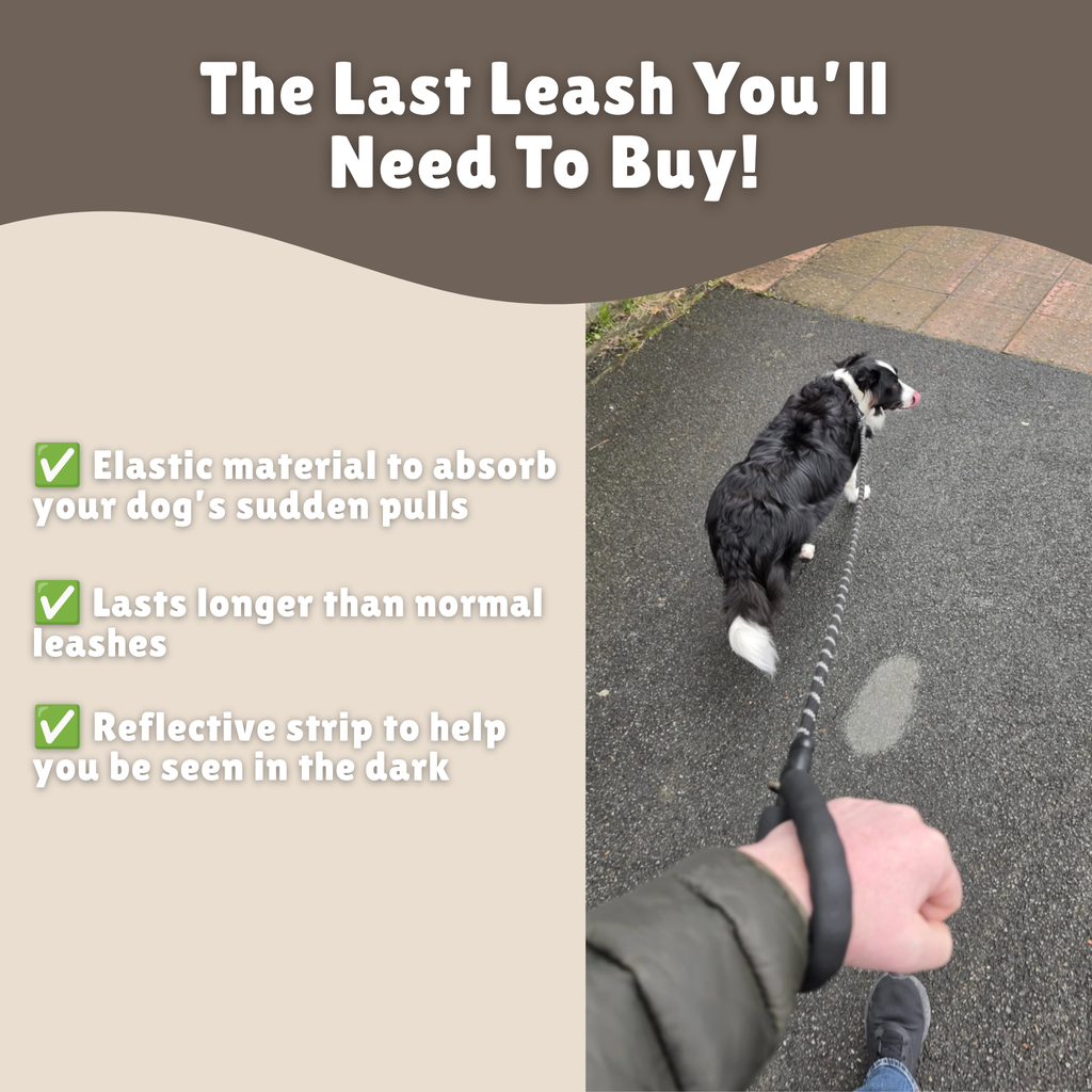 Huass' Dog Leash