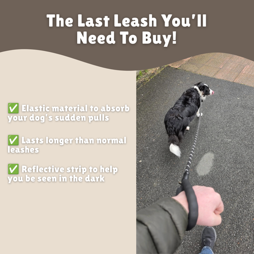 Huass' Dog Leash