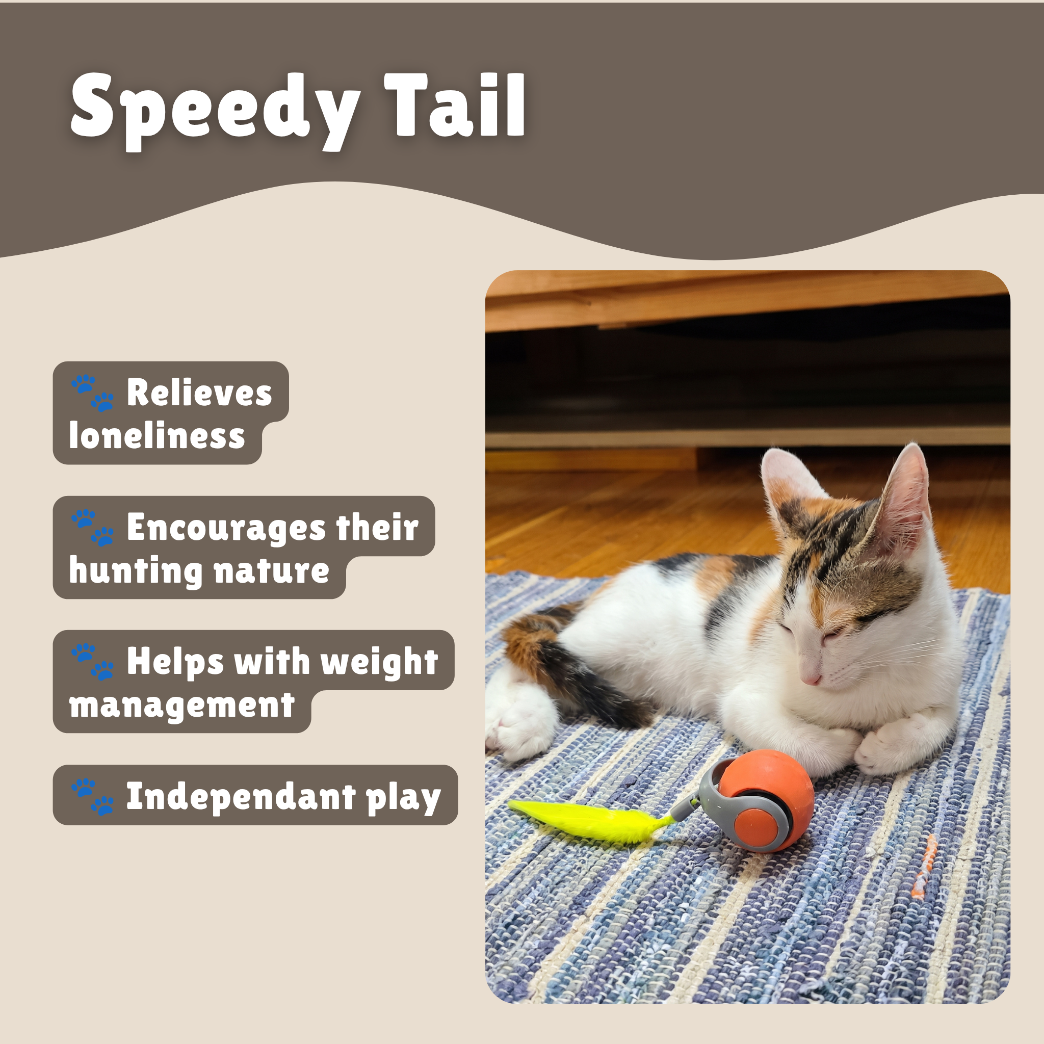 Speedy Tail