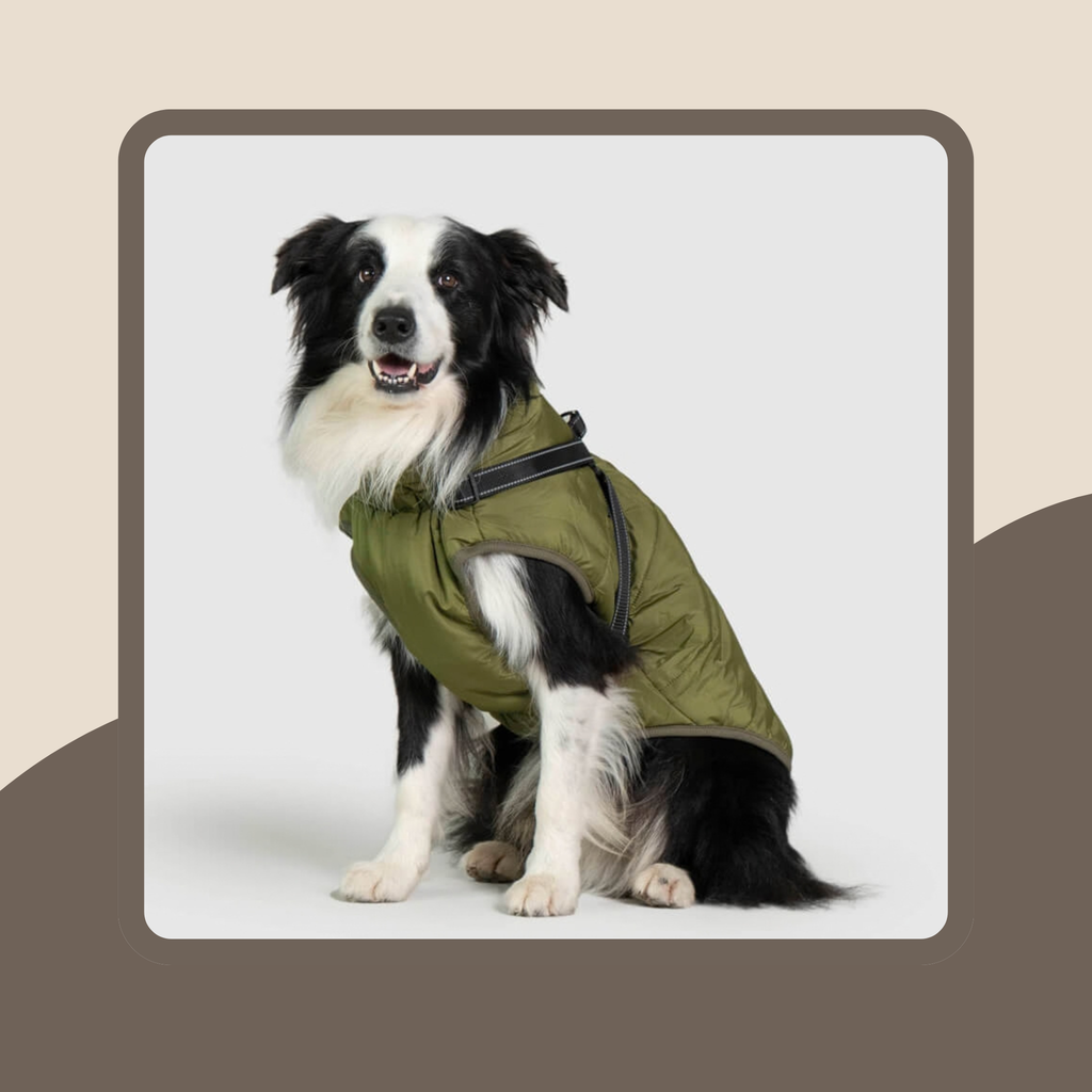3-In-1 Weather Protection Dog Coat