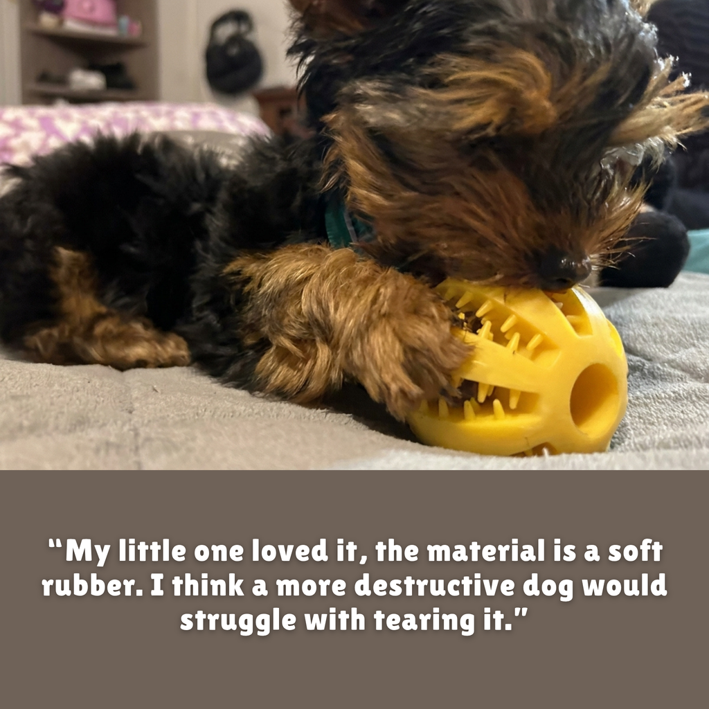 Teeth Treat Ball