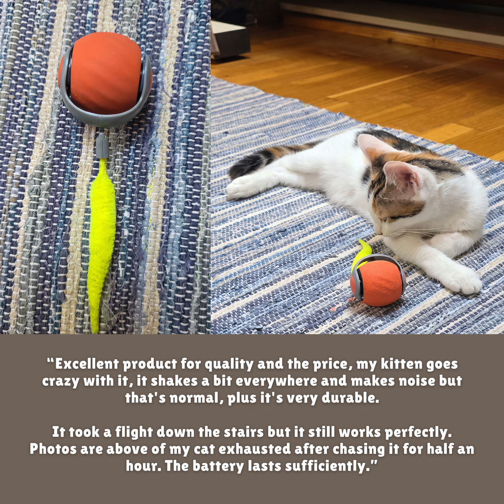 Speedy Tail