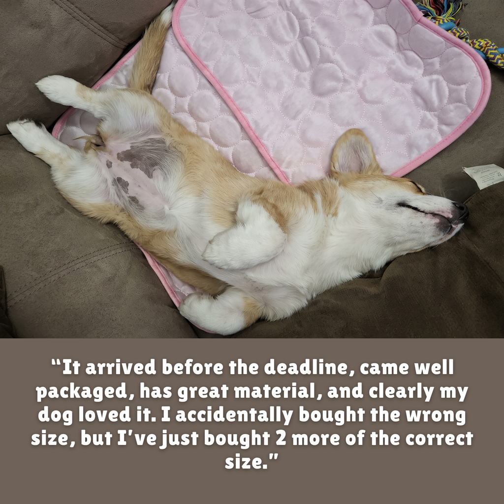 Glacier Cooling Mat