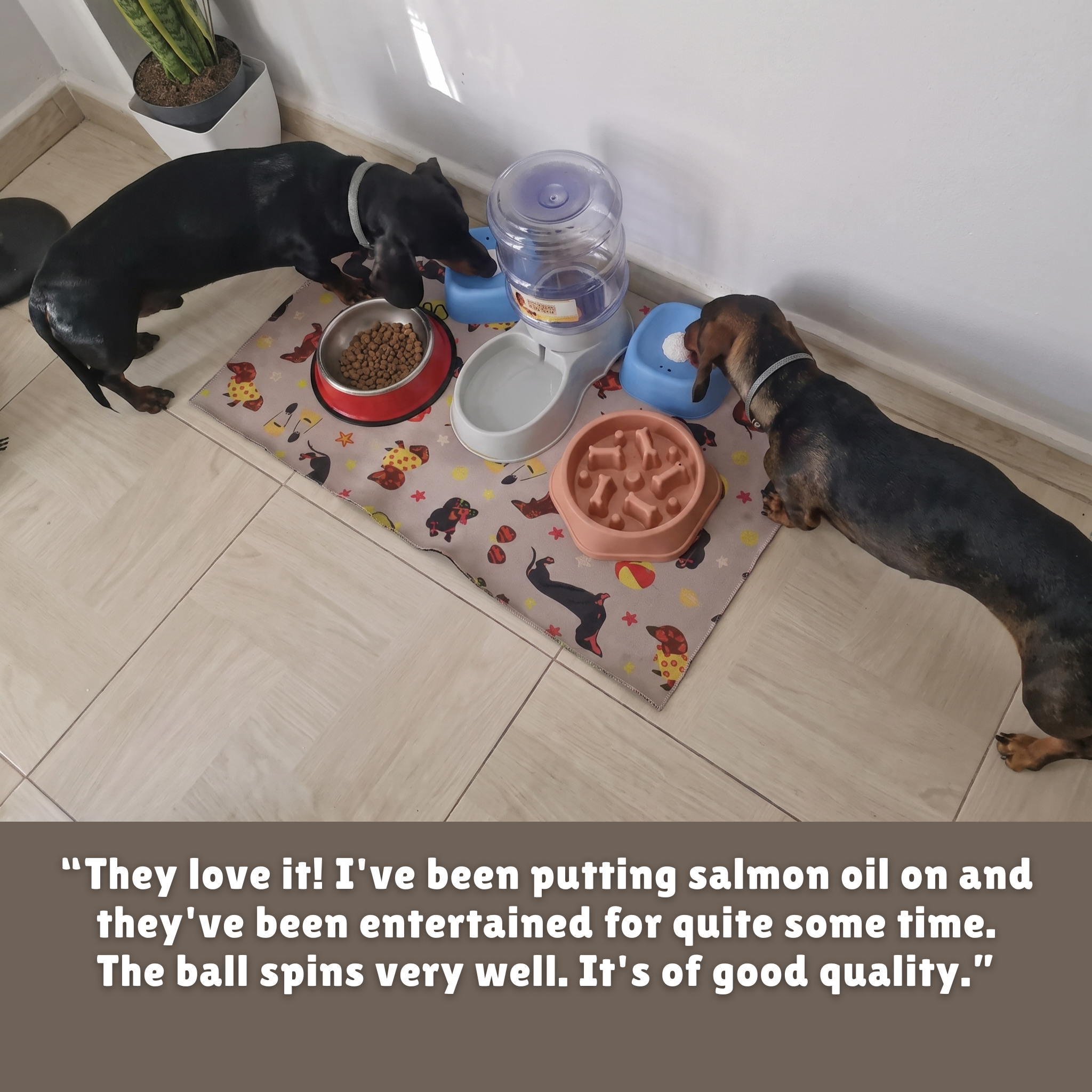 Dog Rolling Bowl