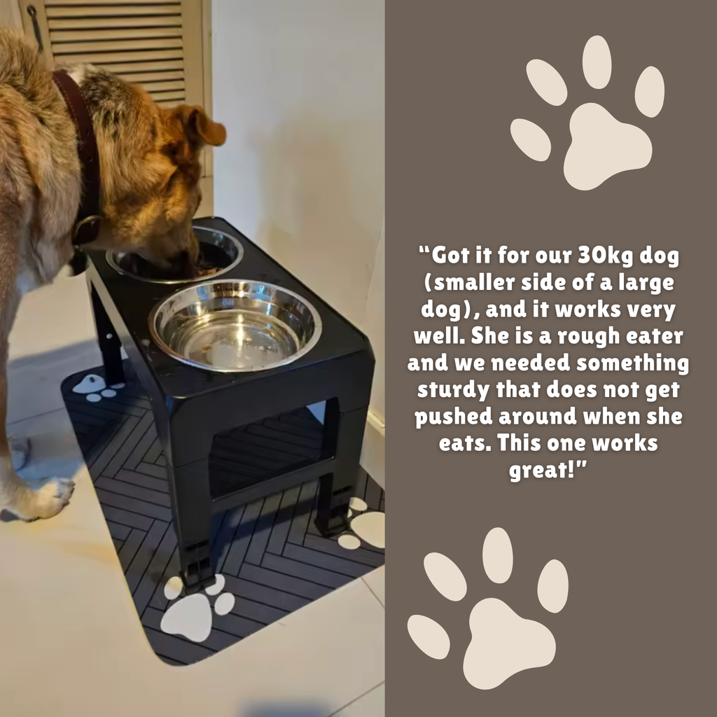 Pet Absorbent Feeding Mat