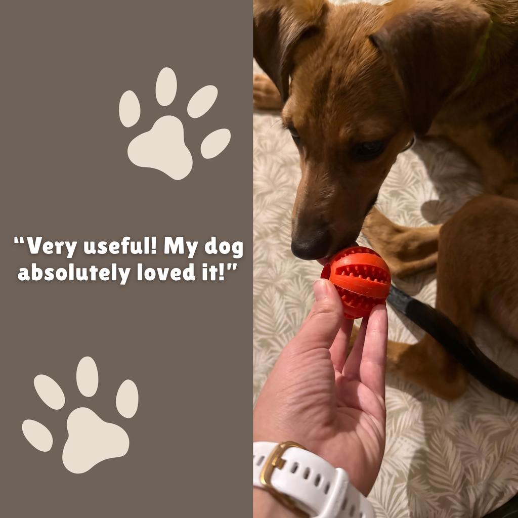 Teeth Treat Ball
