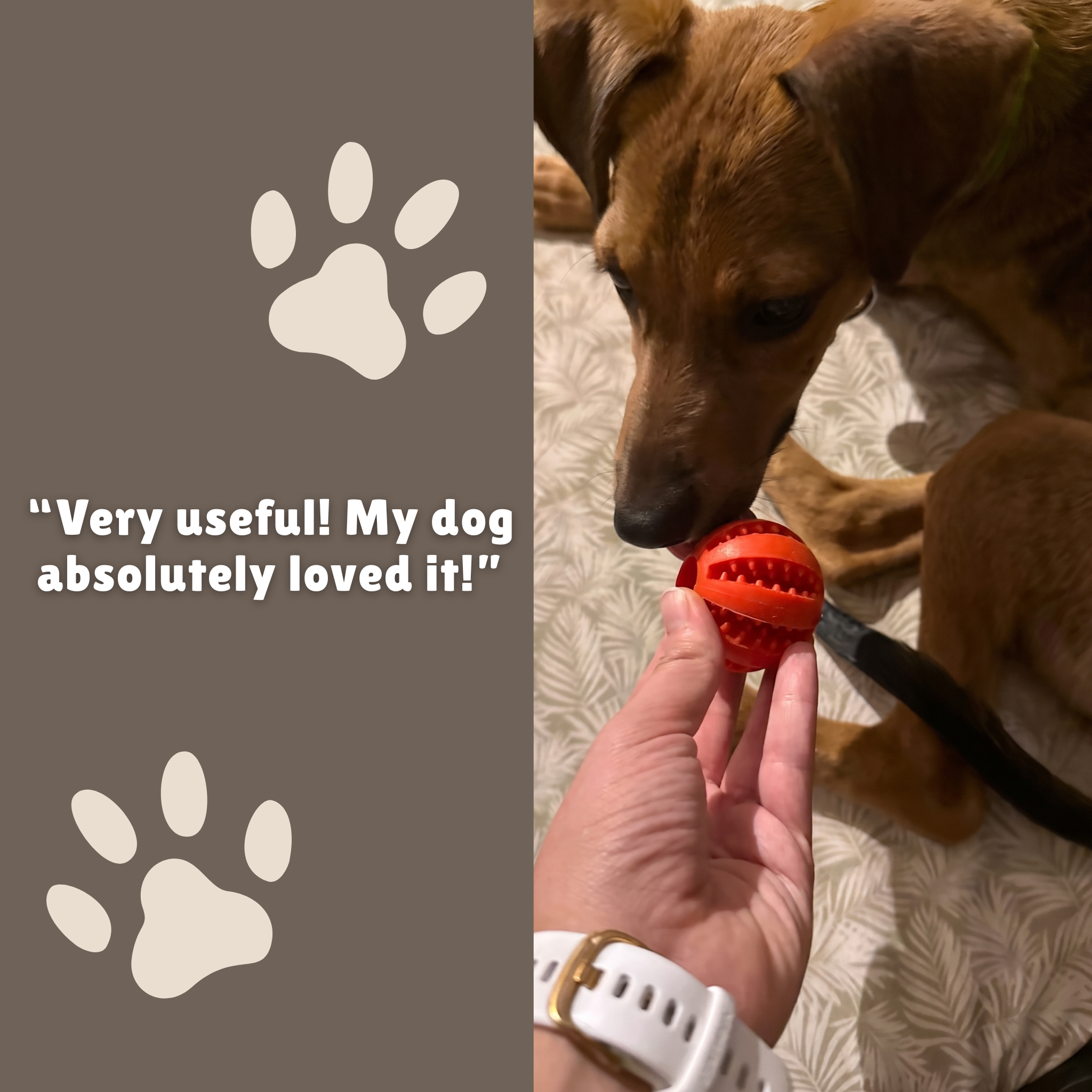 Teeth Treat Ball