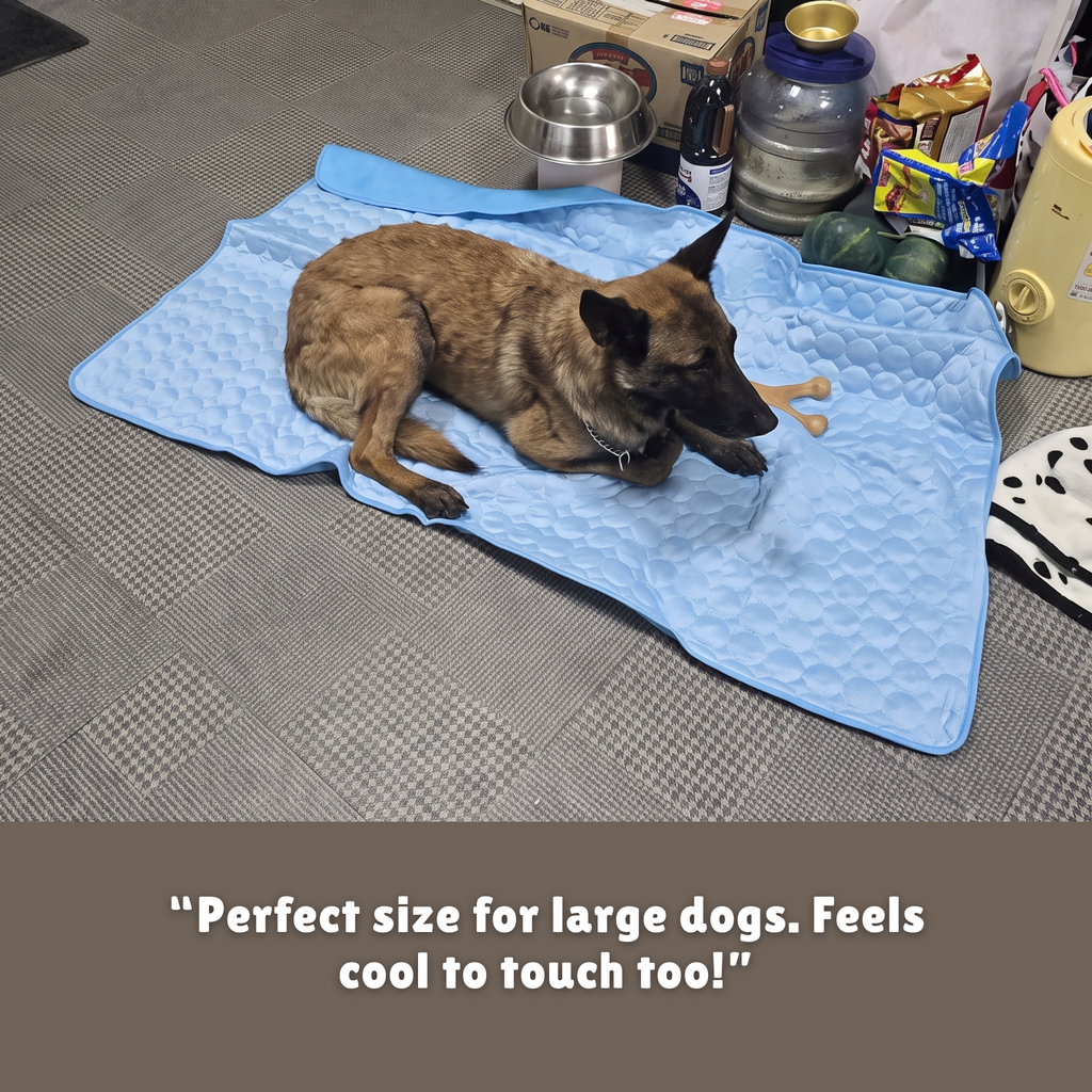 Glacier Cooling Mat