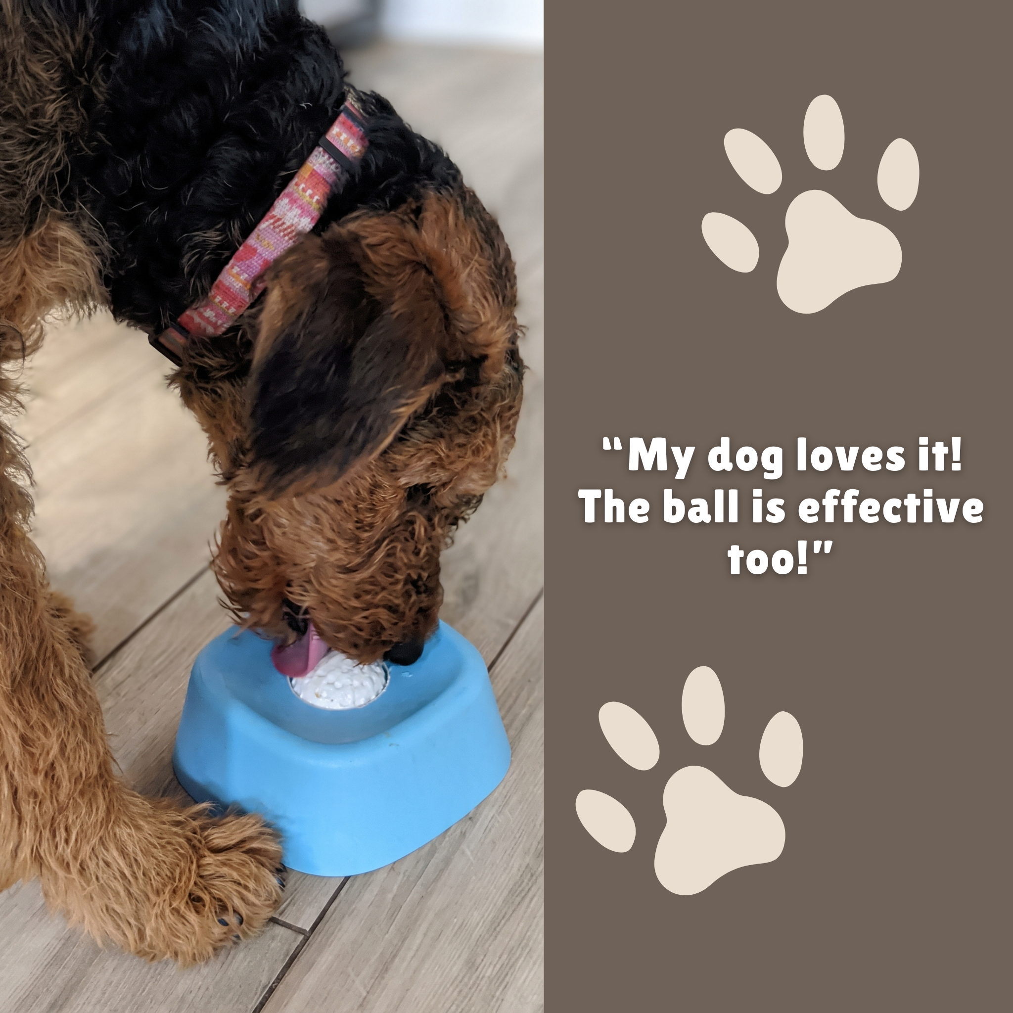 Dog Rolling Bowl