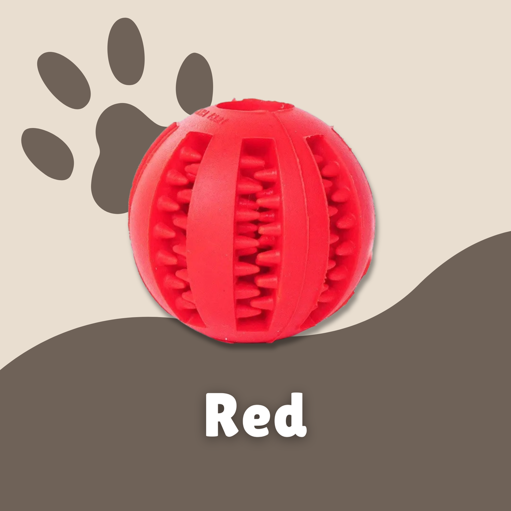 Teeth Treat Ball