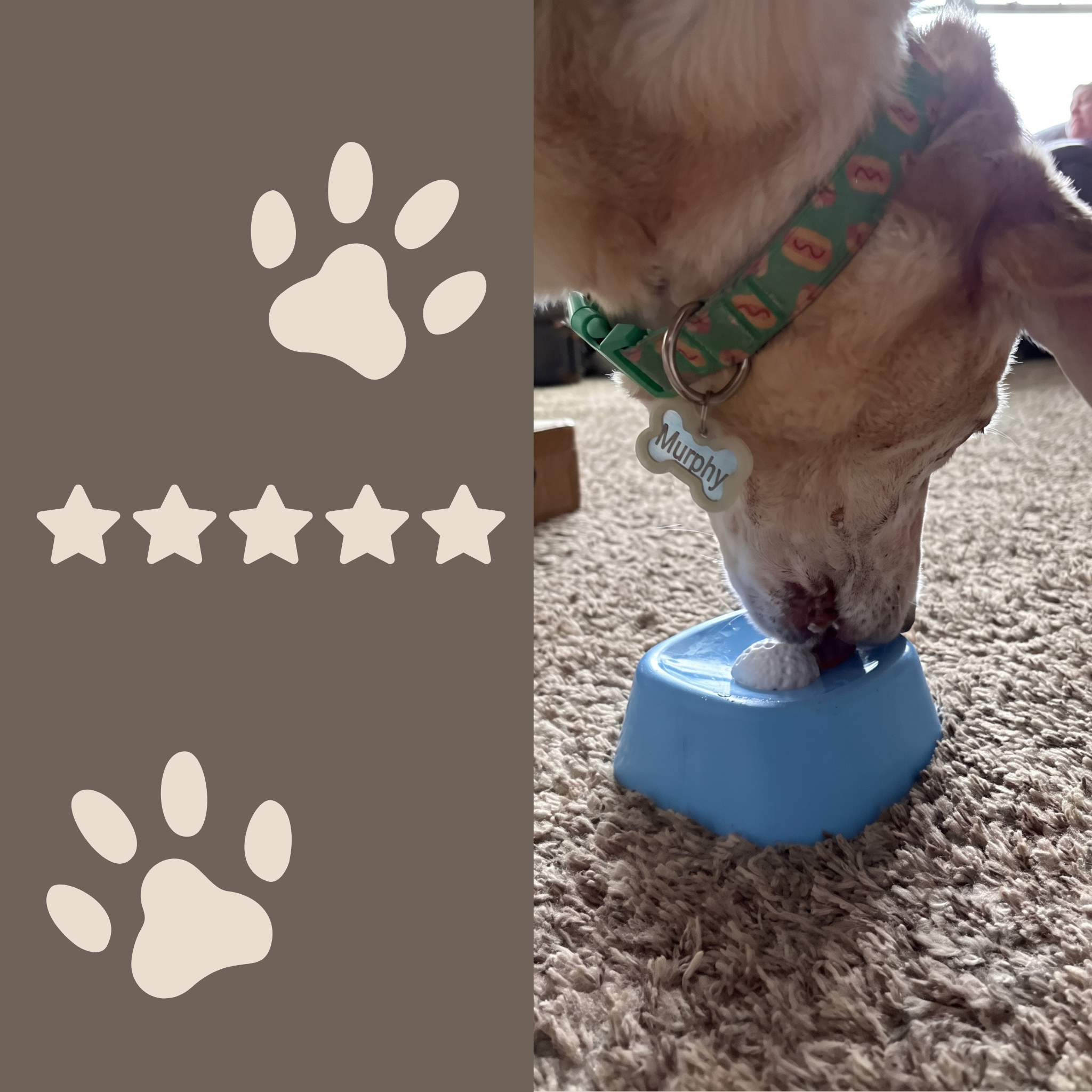Dog Rolling Bowl
